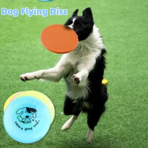 Silicone Flying Saucer Funny Pets Dog Cat Toy Game Flying Discs Resistant Chew