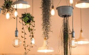Home Lighting